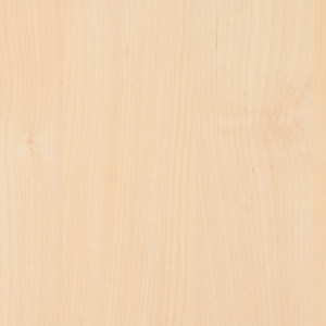 Dekorspanplatte tundra birke 0171 na