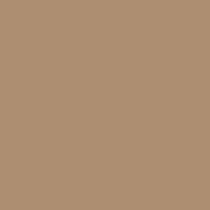 Dekorspanplatte Caramelbeige U250 ST9